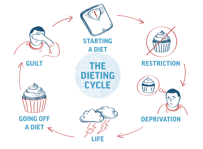 the-diet-cycle